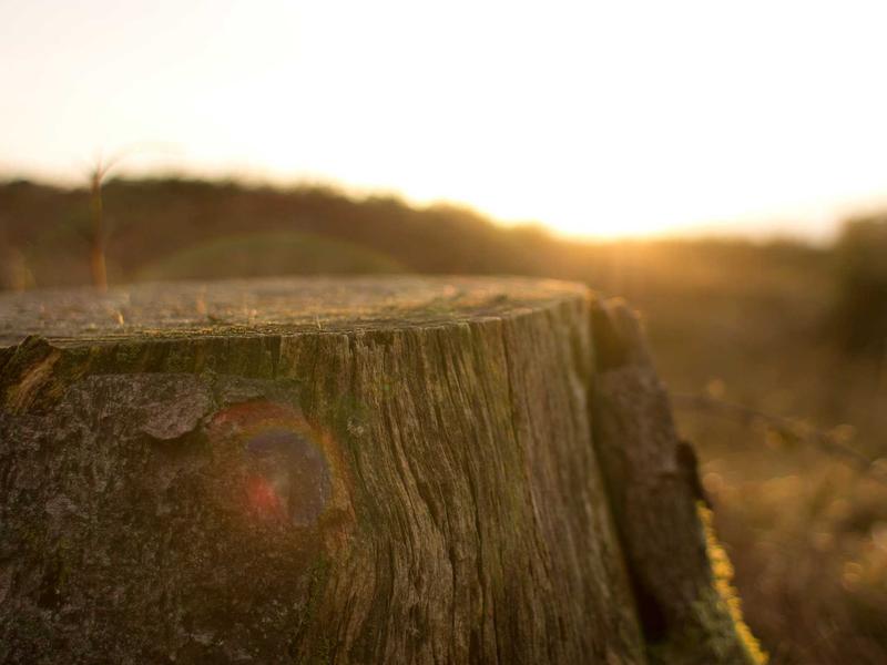 sudoku mind game screenshot 4